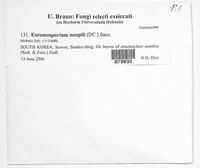 Image Associated With the Occurrence